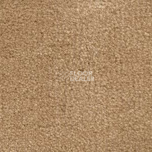 Ковролин Radici Admiral Stone 2227 фото 1 | FLOORDEALER